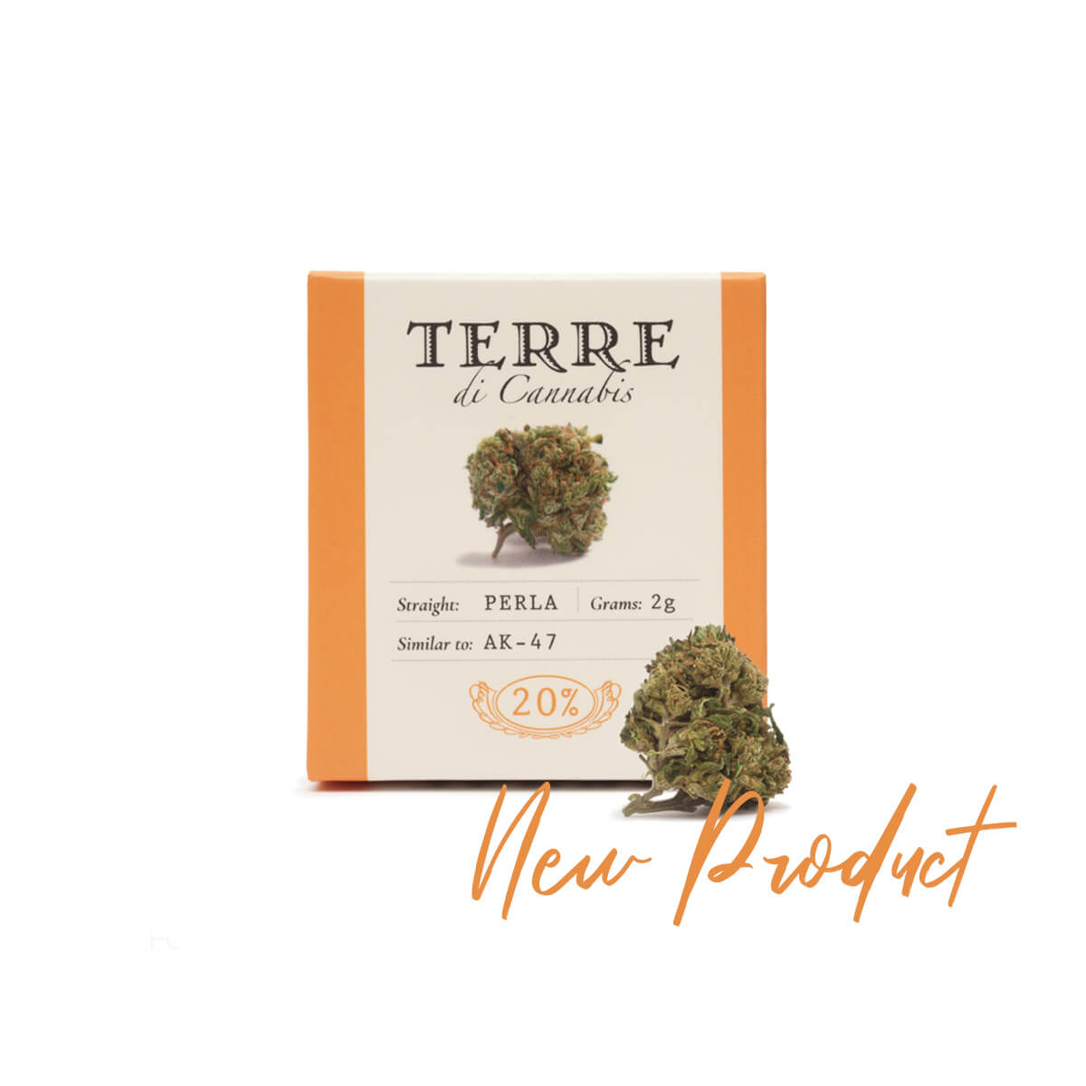 terredicannabis-perla-1